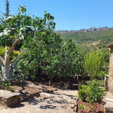 El Jiniebro Gospodarstwo wiejskie