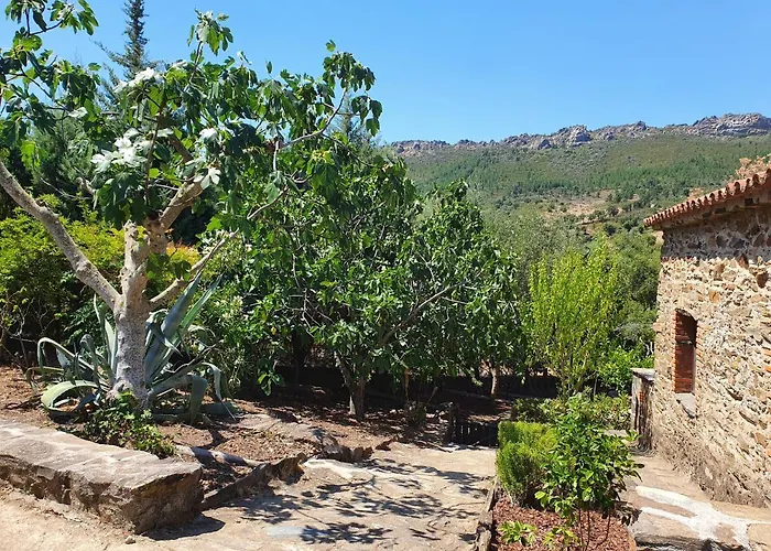 El Jiniebro Летний дом