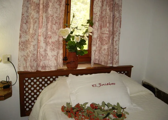 El Jiniebro Летний дом